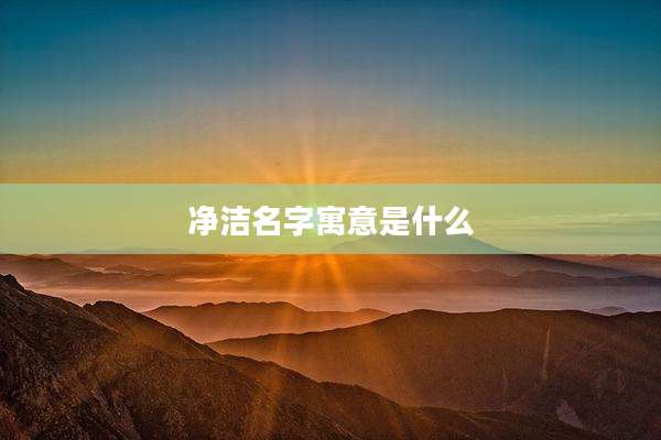 净洁名字寓意是什么