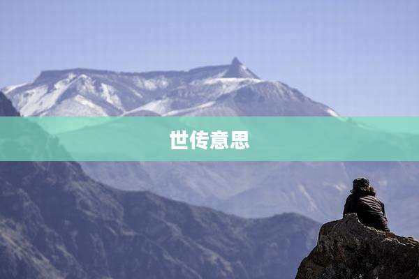 世传意思