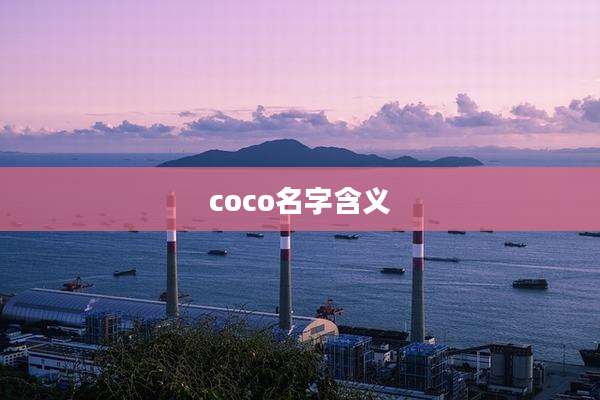 coco名字含义