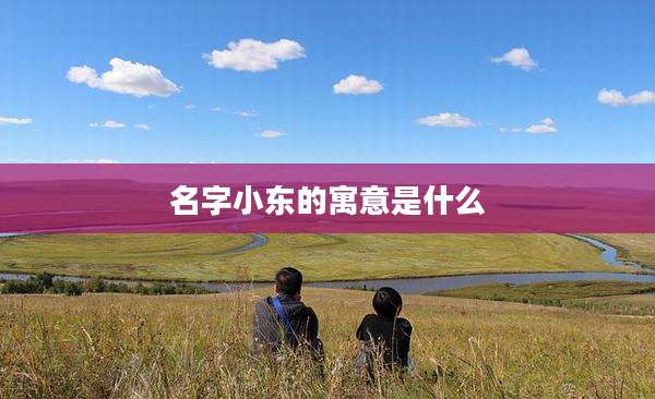 名字小东的寓意是什么