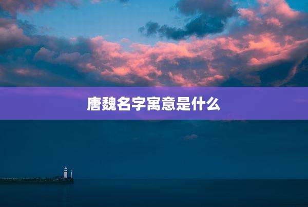 唐魏名字寓意是什么