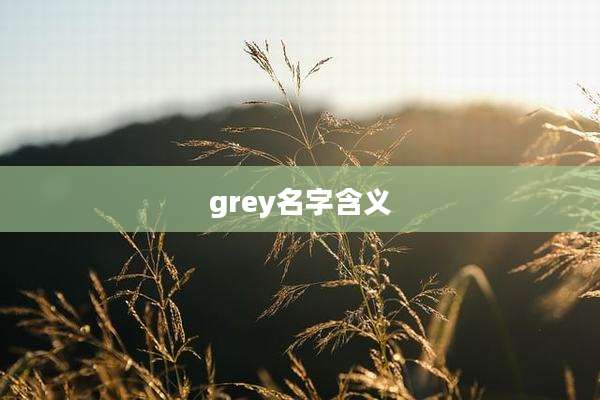 grey名字含义