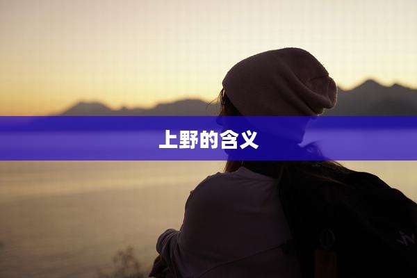 上野的含义
