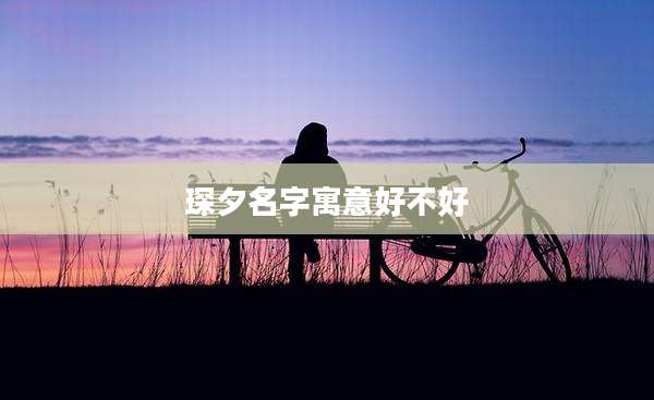 琛夕名字寓意好不好