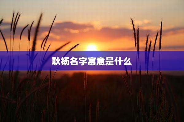 耿杨名字寓意是什么