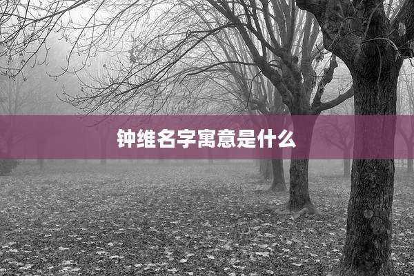钟维名字寓意是什么