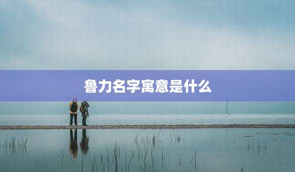 鲁力名字寓意是什么