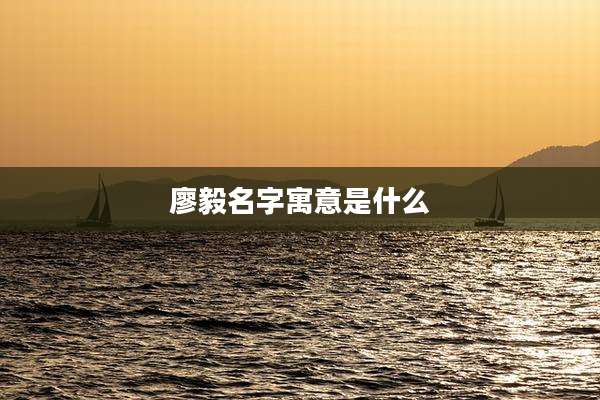 廖毅名字寓意是什么