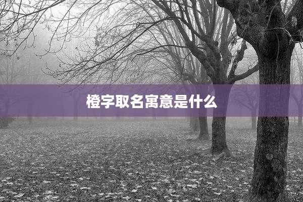 橙字取名寓意是什么