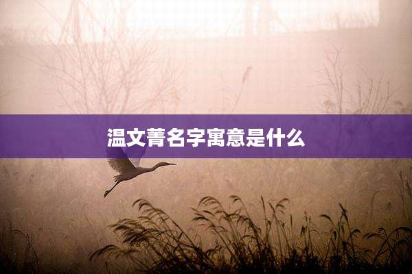 温文菁名字寓意是什么
