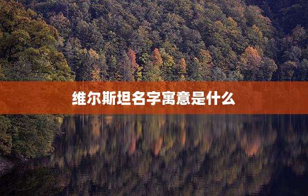 维尔斯坦名字寓意是什么