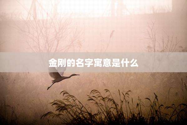 金刚的名字寓意是什么