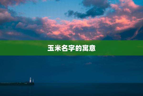 玉米名字的寓意