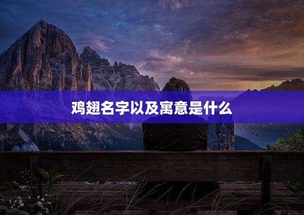 鸡翅名字以及寓意是什么