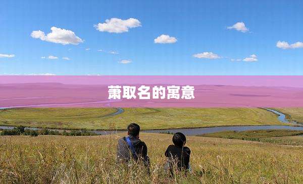 萧取名的寓意