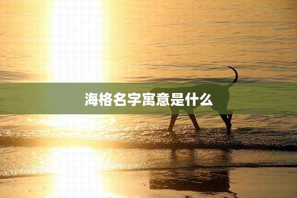 海格名字寓意是什么