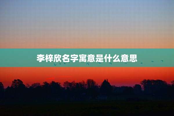 李梓欣名字寓意是什么意思