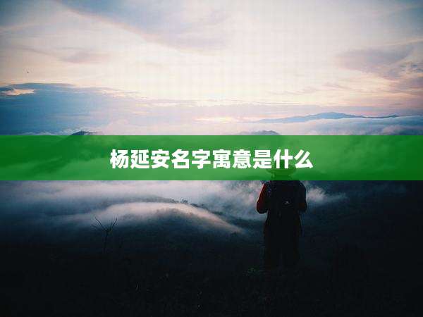 杨延安名字寓意是什么