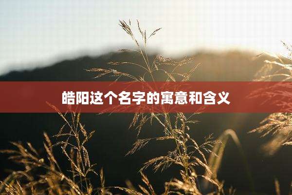 皓阳这个名字的寓意和含义
