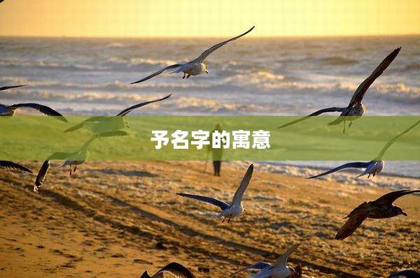 予名字的寓意