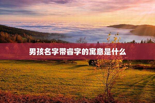 男孩名字带睿字的寓意是什么