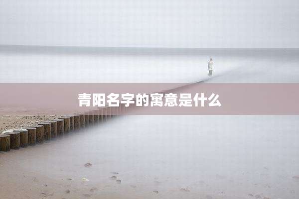 青阳名字的寓意是什么