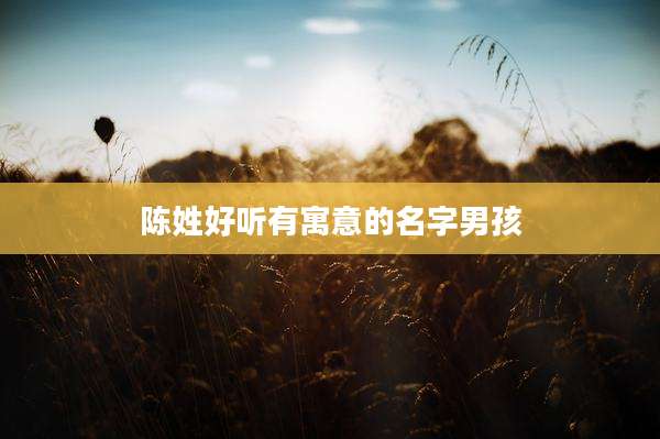陈姓好听有寓意的名字男孩