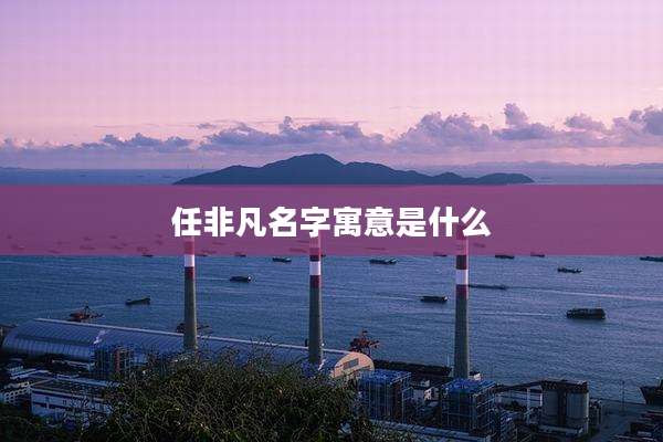 任非凡名字寓意是什么