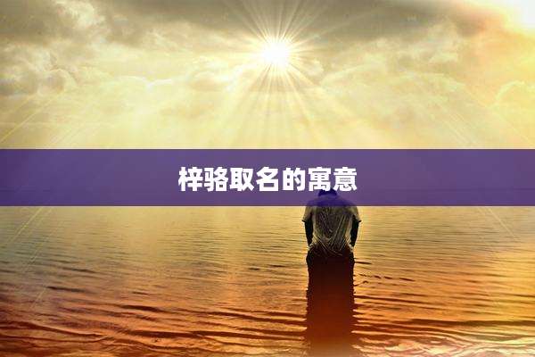 梓骆取名的寓意