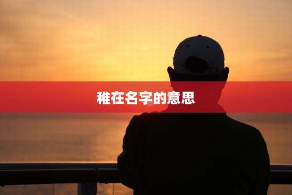 稚在名字的意思