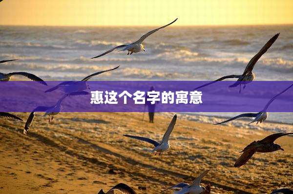 惠这个名字的寓意