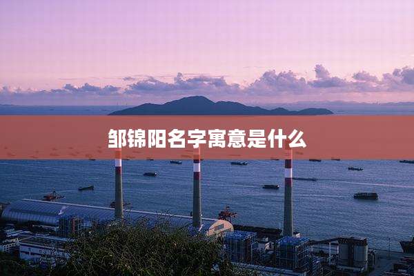 邹锦阳名字寓意是什么