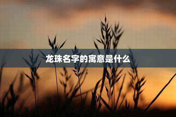 龙珠名字的寓意是什么