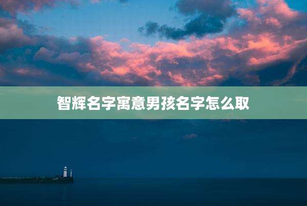 智辉名字寓意男孩名字怎么取