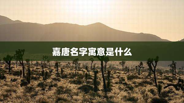 嘉唐名字寓意是什么