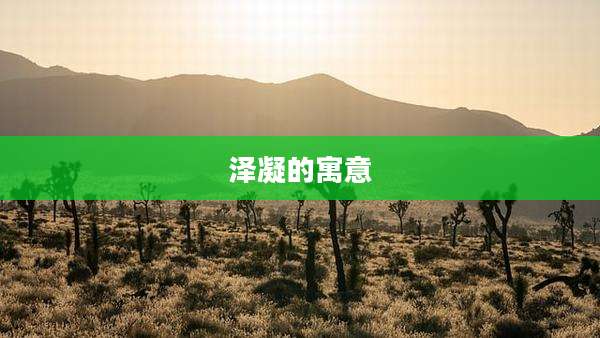 泽凝的寓意