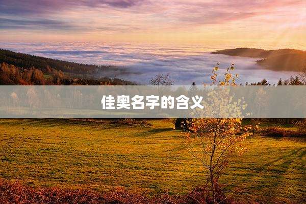 佳奥名字的含义