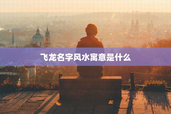 飞龙名字风水寓意是什么