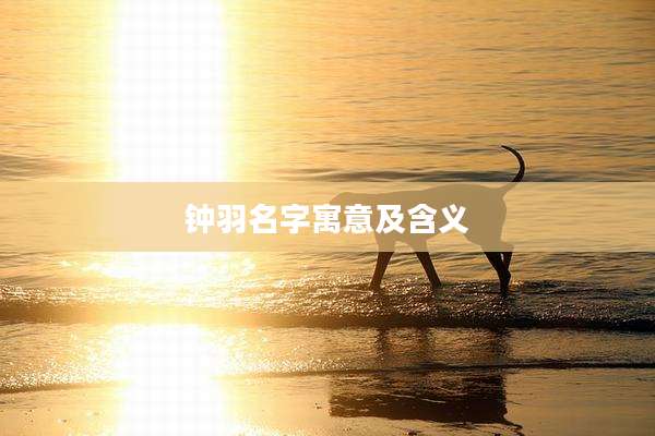 钟羽名字寓意及含义