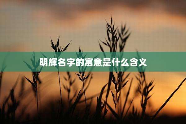 明辉名字的寓意是什么含义