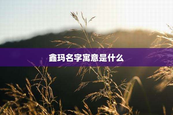 鑫玛名字寓意是什么