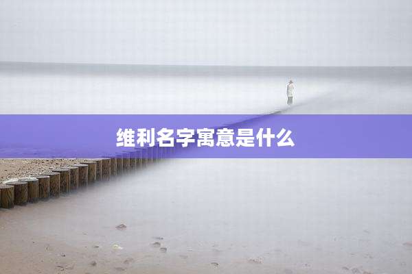 维利名字寓意是什么