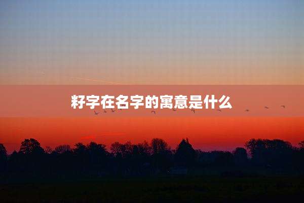 籽字在名字的寓意是什么