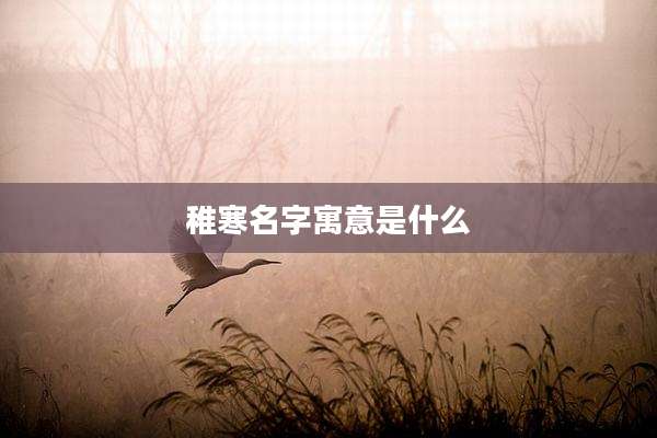 稚寒名字寓意是什么