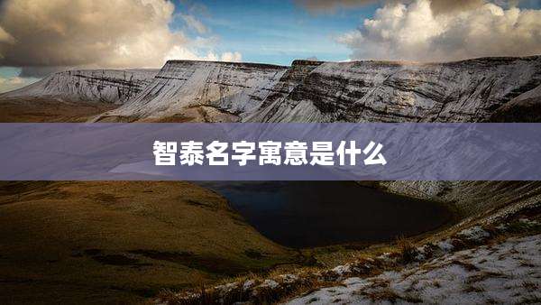 智泰名字寓意是什么