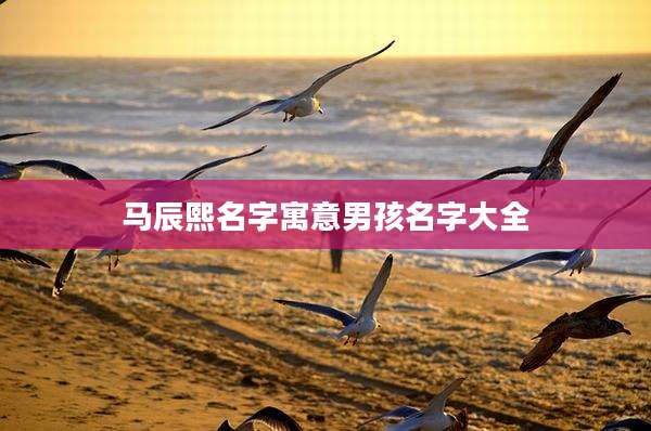 马辰熙名字寓意男孩名字大全