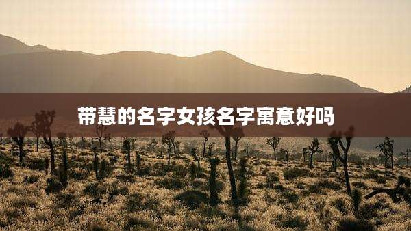 带慧的名字女孩名字寓意好吗