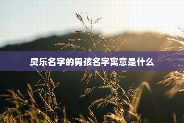 炅乐名字的男孩名字寓意是什么
