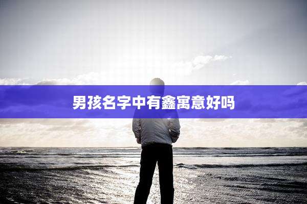 男孩名字中有鑫寓意好吗