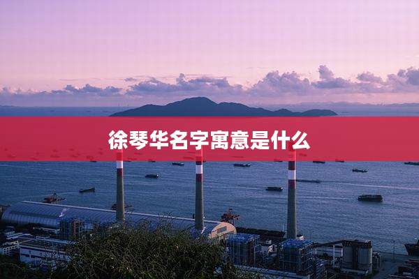 徐琴华名字寓意是什么